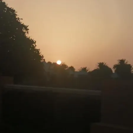 Amarillo Sun *