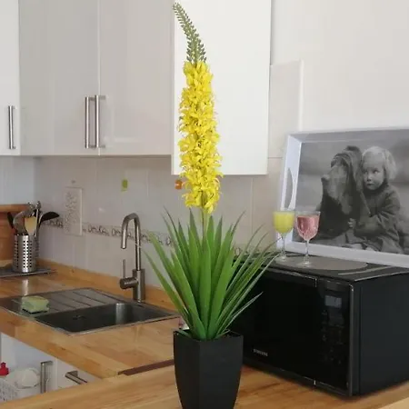 Amarillo Sun Appartement *
